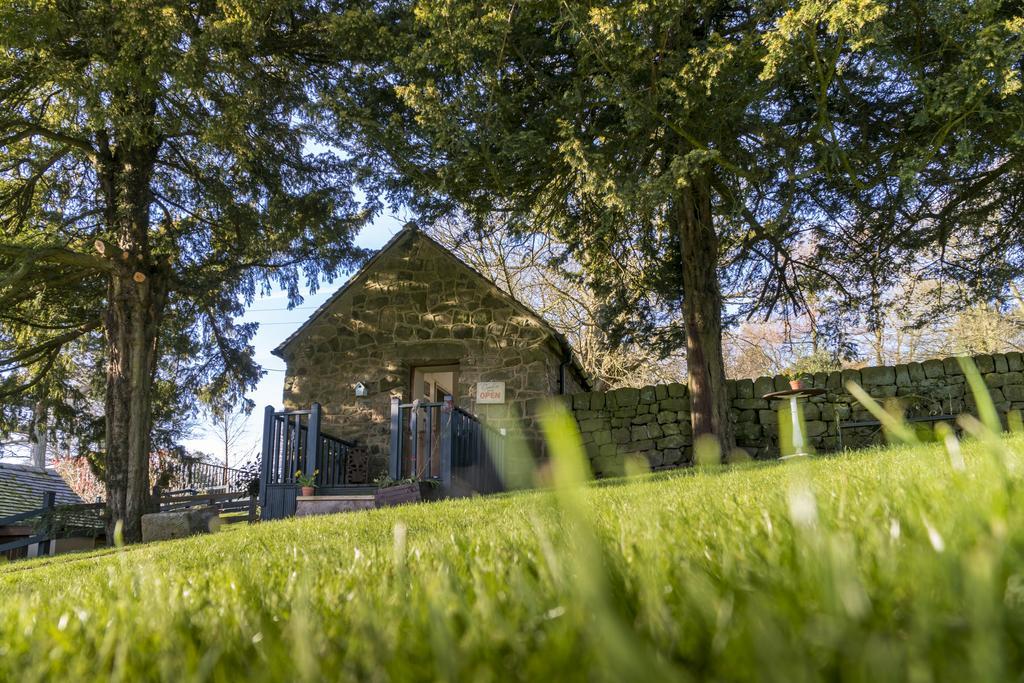 Вілла The Piggery Longton  Екстер'єр фото